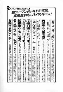 ブラッディ・メイVS.超お嬢さま ゆんゆん☆パラダイス 2, 日本語