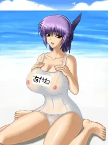 DOA School Swimsuit あやね。, 日本語