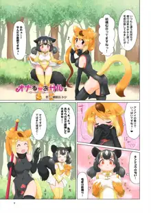 フレンズ自慰合同, 日本語