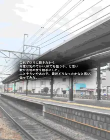 電車の真面目っ子催眠して好き放題エロいことさせた, 日本語