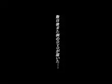 凛と舞う, 日本語