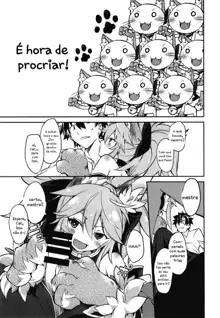 Cat-chan Kozukuri Daisakusen | Cat-chan's Childmaking Grand Strategy, Português