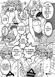 Kemo Nee-san 5 | 수인 누나 5, 한국어