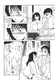 あいおいの淑女, 日本語