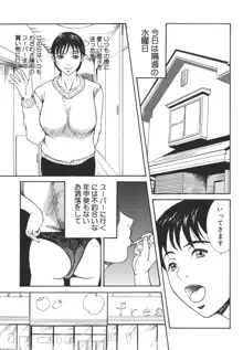 あいおいの淑女, 日本語