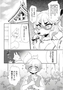 かみさま、おきつねさま。, 日本語