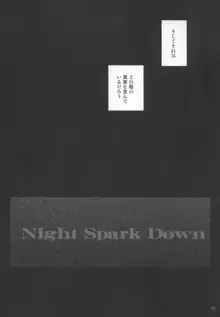 Night Spark Down, 日本語