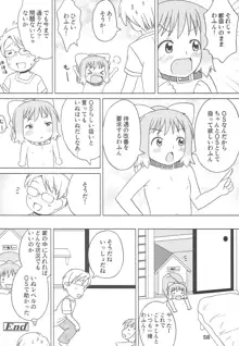 こどもでちゃれんじ 3, 日本語