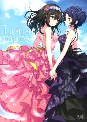 Lunar mare, 日本語