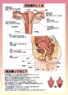 メイドさんと学ぶおんなのこのからだ, 日本語