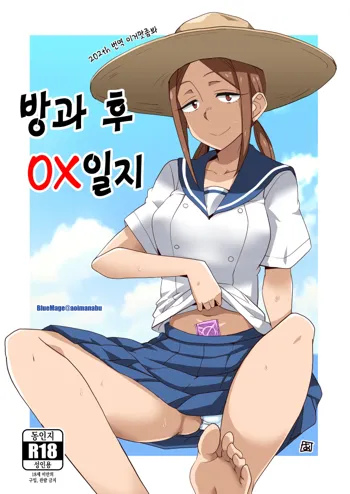 Houkago 〇× Nisshi | 방과 후 OX 일지, 한국어