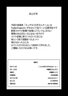 エッチなウサギさんチーム, 日本語