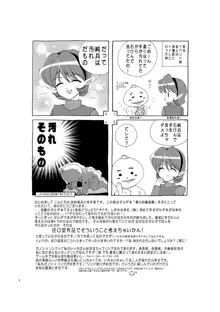 愛の自爆装置, 日本語