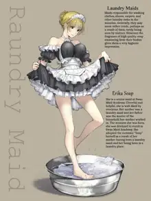 SWAN MAID ACADEMY, English