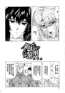 Ginryuu no Reimei Vol.2, 中文