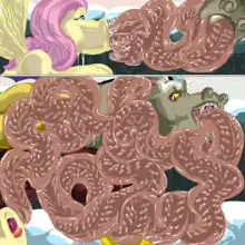 Fluttershy's Discord Day, English