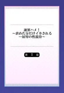 謝罪ハメ!～虐めた分だけイカされる…屈辱の性接待～, 日本語