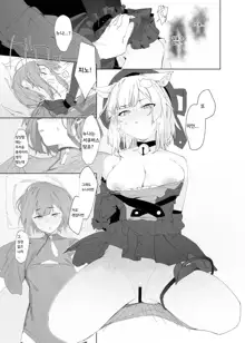 TS Neko Succubus-san wa Sakusei Nante Shitakunai! 2 | TS고양이 서큐버스 씨는 착정따위 하고 싶지 않아!2, 한국어