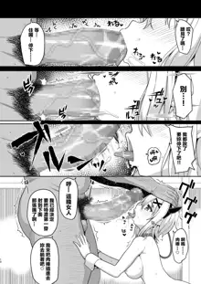 Symphogear no Usui Hon 2, 中文