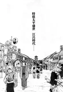 Harakusa Ninja Scroll 2, 中文