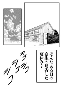 寮母さんとの夏 二人っきりの夏休みの寮で…僕は寮母さんにヤらしてもらった。, 日本語