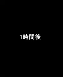 ととクエ。仲間集めの旅, 日本語