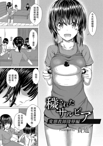 Kegasareta Salvia Hentai Kyoushi Ryoujoku Hen, 中文