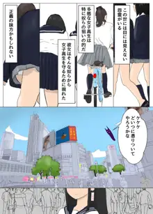 セーラー服霊能力者イズミ, 日本語