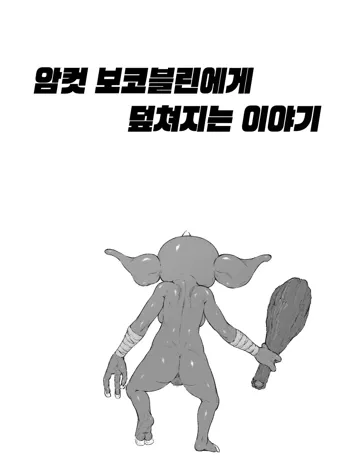 Mesu Bokoblin ni Osowareru Hanashi | 암컷 보코블린에게 덮쳐지는 이야기