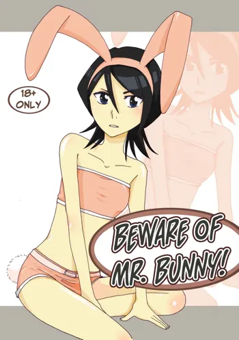 Usagi-san ni Ki o Tsukete | Beware of Mr. Bunny!, English