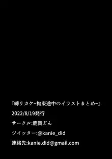 縛リカケ~拘束途中のイラストまとめ~, 日本語