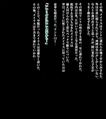 冒険者メイリスの末路, 日本語