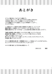 魔とめました!アメリちゃん!, 日本語