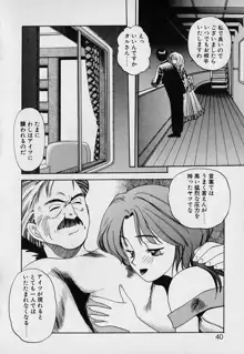 ぺかぺかの洋航娘1, 日本語