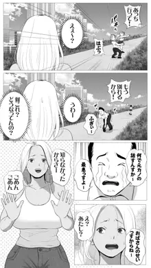 友達のかーちゃん, 日本語