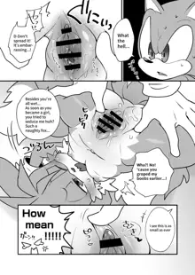 Tails and Sonic's special Fuss, English