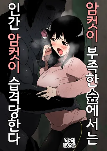 Mesu ga Fusoku Shita Mori de wa Ningen no Mesu ga Osowareru  |  암컷이 부족한 숲에서는 인간 암컷이 습격당한다, 한국어