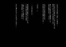 高町なのは, 日本語