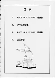 ALICE IN SLAVE LAND, 日本語