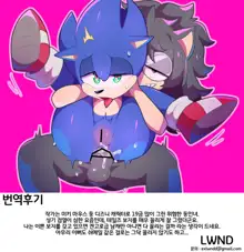 Tails and Sonic's special Fuss, 한국어