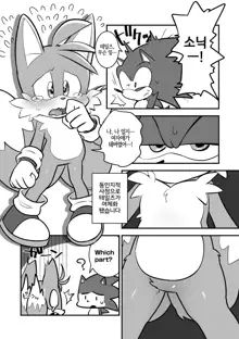 Tails and Sonic's special Fuss, 한국어