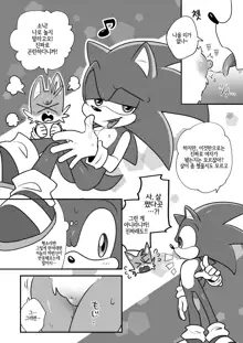 Tails and Sonic's special Fuss, 한국어