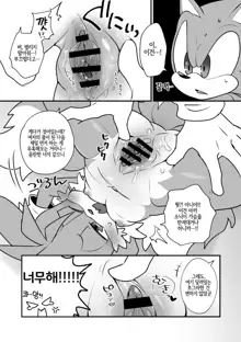 Tails and Sonic's special Fuss, 한국어