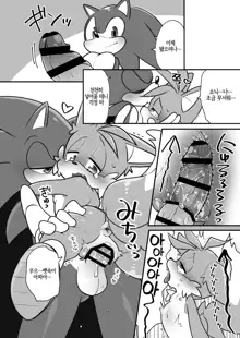 Tails and Sonic's special Fuss, 한국어