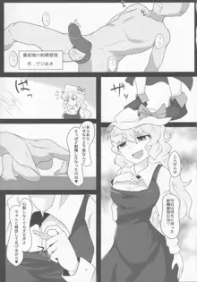 東方紳士録 裏, 日本語