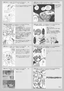 東方紳士録 裏, 日本語