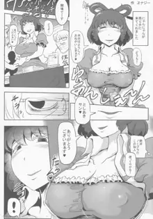 東方紳士録 裏, 日本語