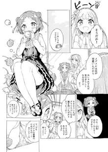 姫さまそれは聖水ですか? 総集編, 日本語