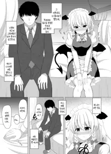 Patchouli no Jikken de Succubus ni Natta Sakuya-san | 파츄리의 실험으로 서큐버스가 된 사쿠야씨, 한국어