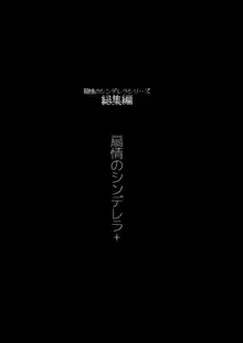 扇情のシンデレラ+, 日本語